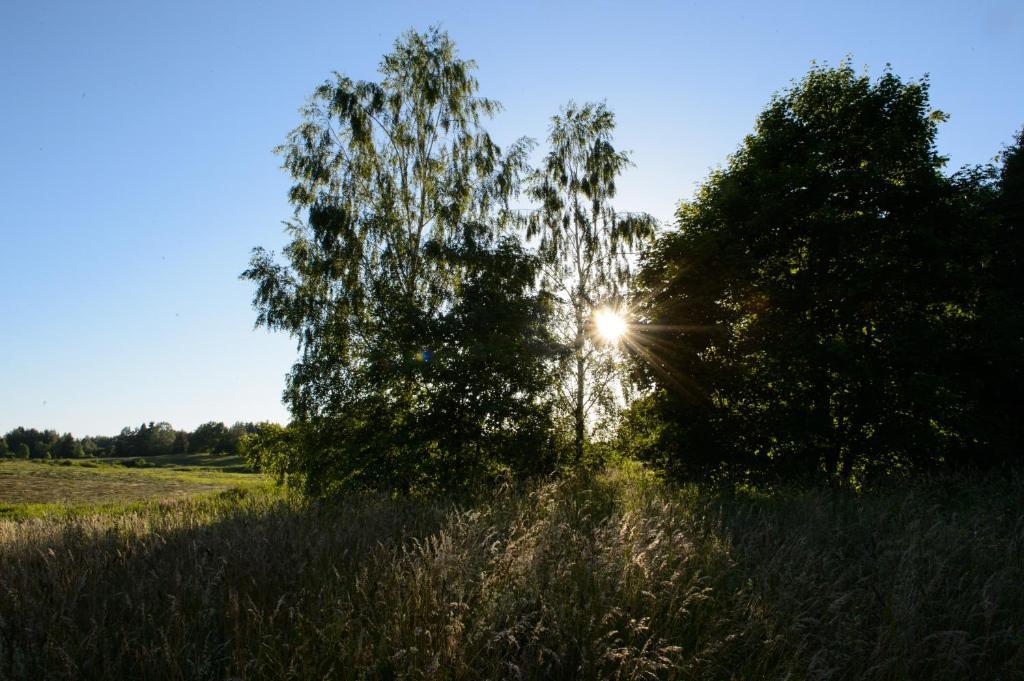 Vasekoja Holiday Center Vahtseliina Exteriér fotografie