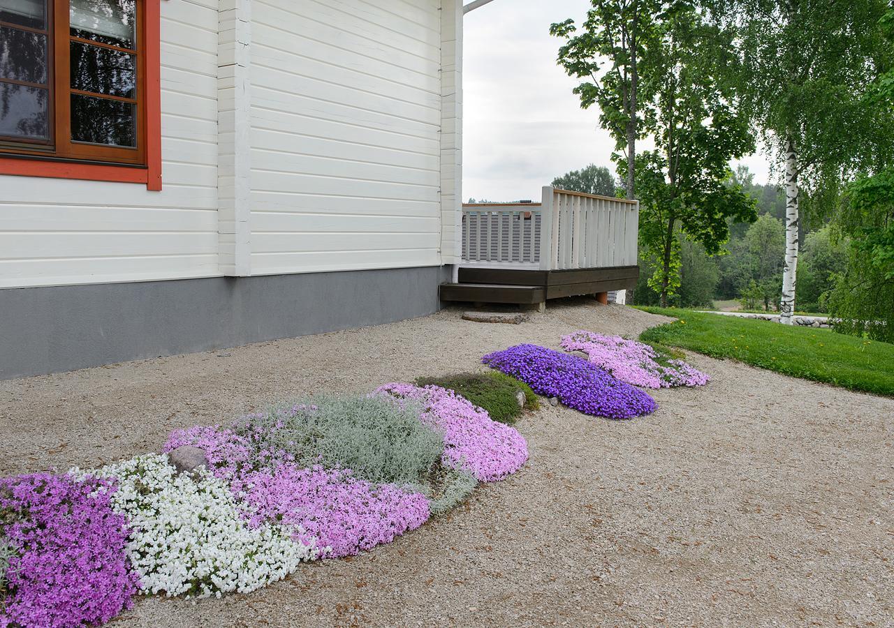 Vasekoja Holiday Center Vahtseliina Exteriér fotografie